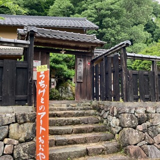 06.jpg
