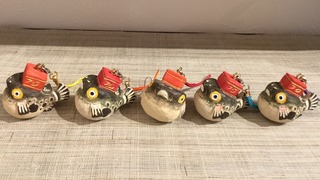 IMG_1627.jpg