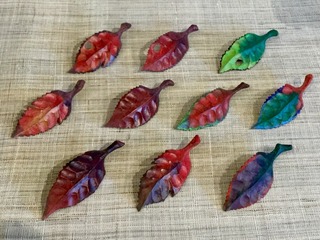 IMG_2453.jpg