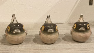 IMG_2807.jpg